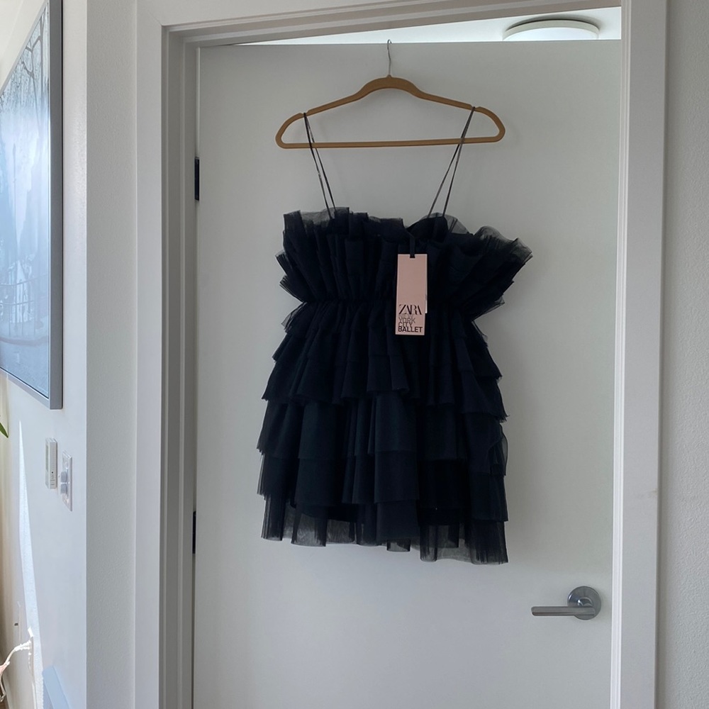 ZARA NYC Ballet Tulle Dress Limited Edition